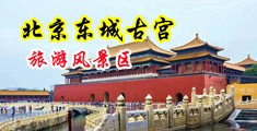 大奶子熟女爱爱视频中国北京-东城古宫旅游风景区